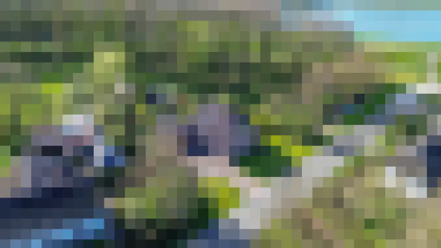 Middelweg 3 Rijswijk (GLD) thumbnail 6