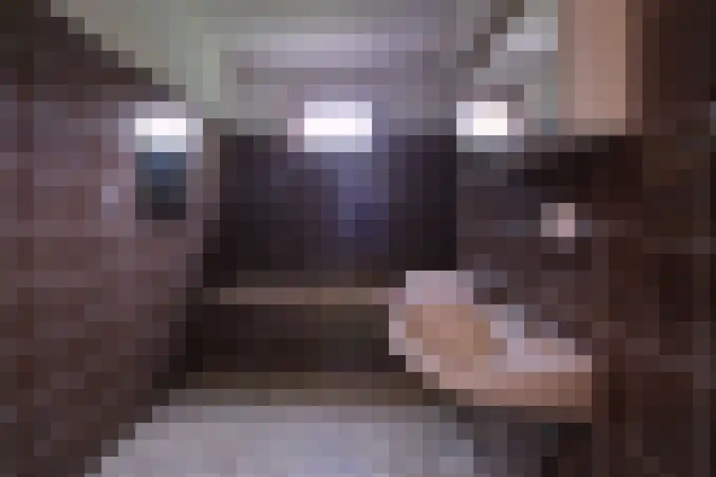 Middelweg 36 Rockanje thumbnail 24