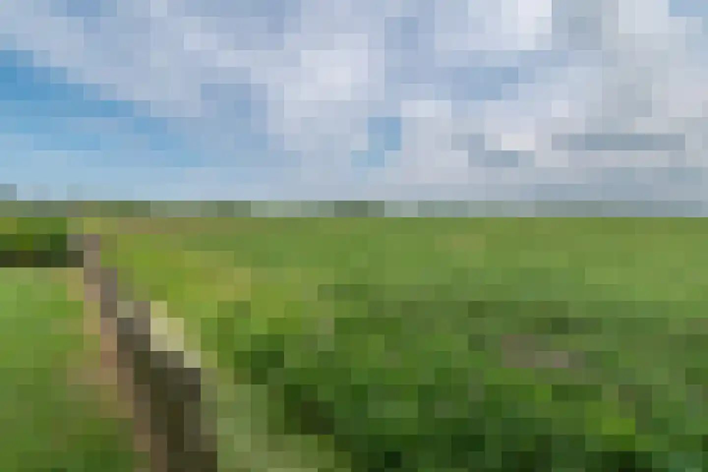Middelweg 5 Zoetermeer thumbnail 44