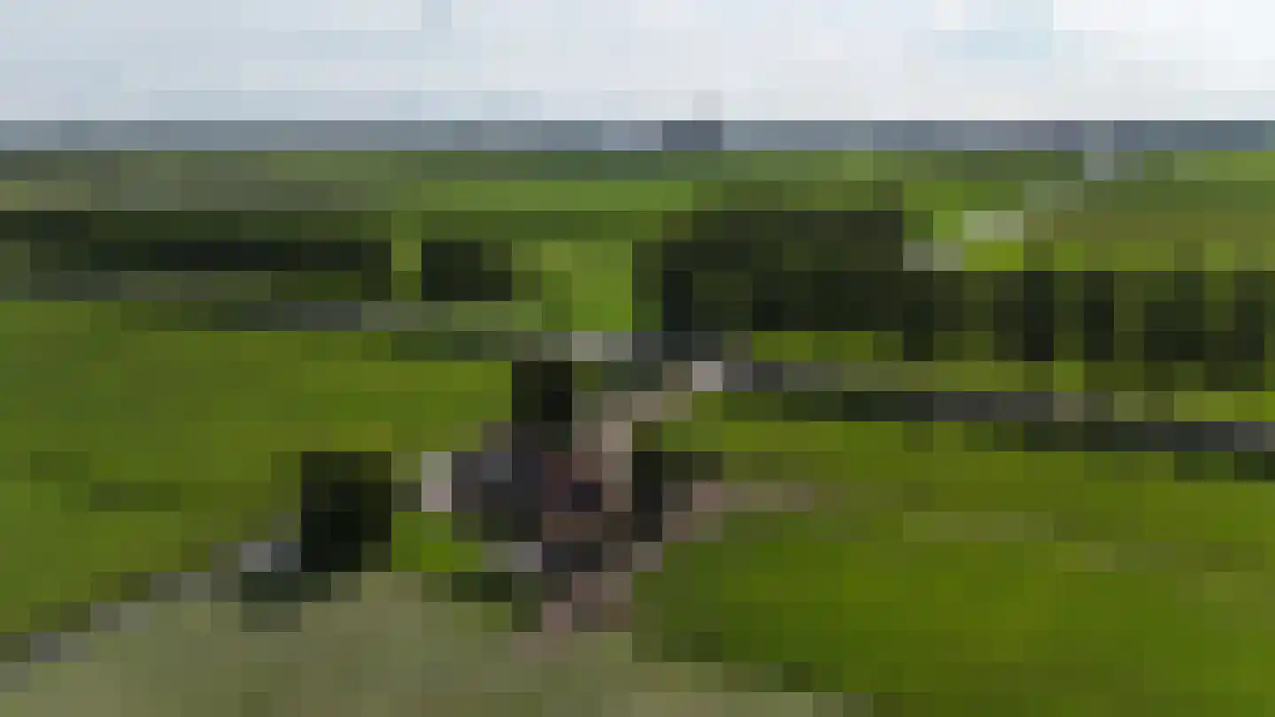 Middelweg 5 Zoetermeer thumbnail 57