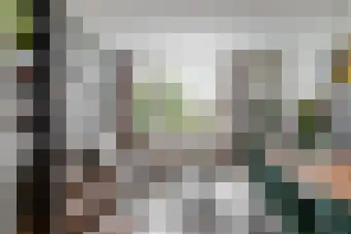 Middelweg 61 b Uitgeest thumbnail 17