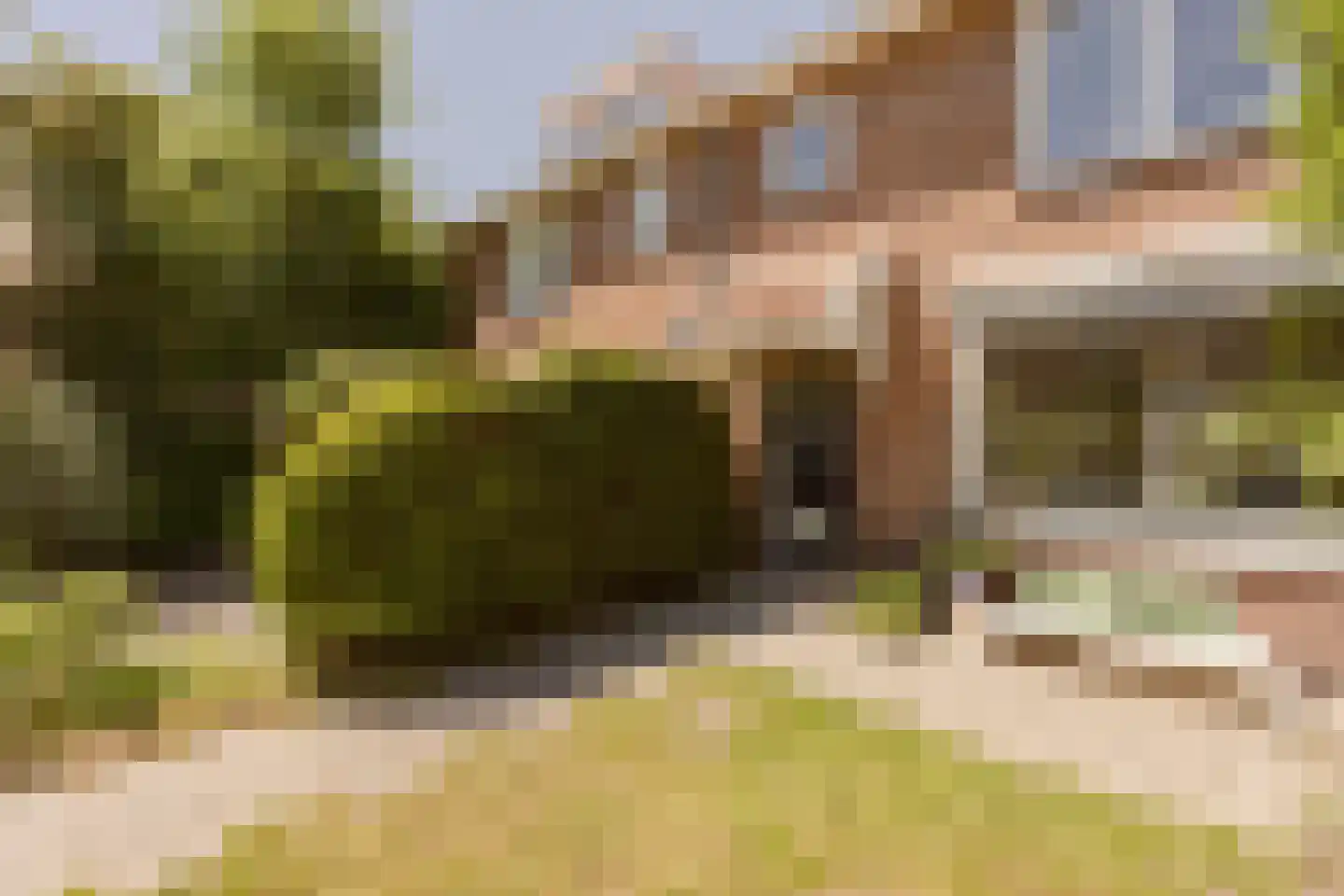 Middelweg 67 Wassenaar thumbnail 5