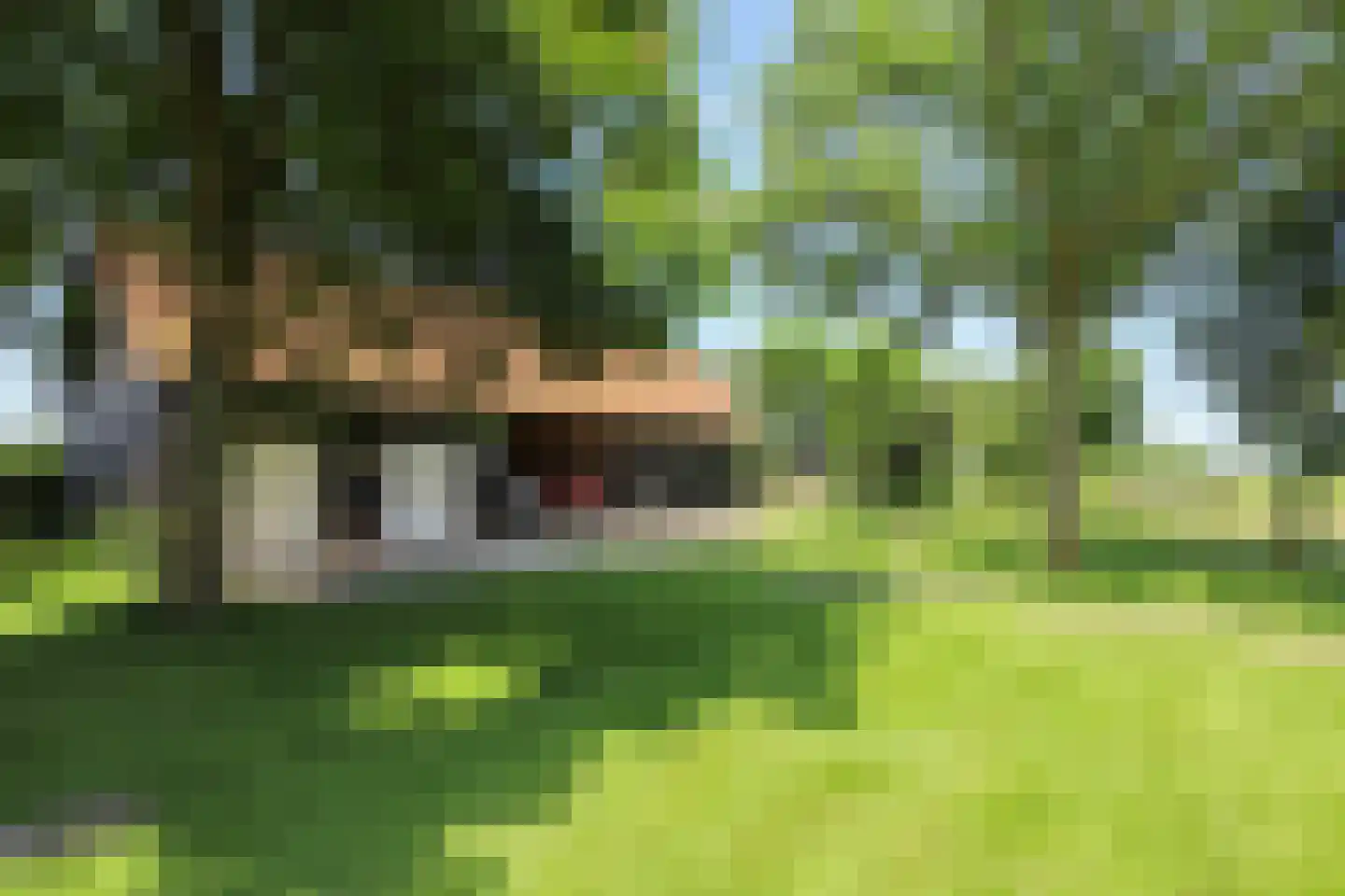 Middelweg 73 a Leersum thumbnail 10