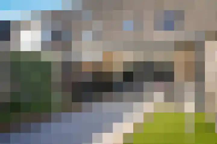 Middelweide 10 Zaltbommel thumbnail 29