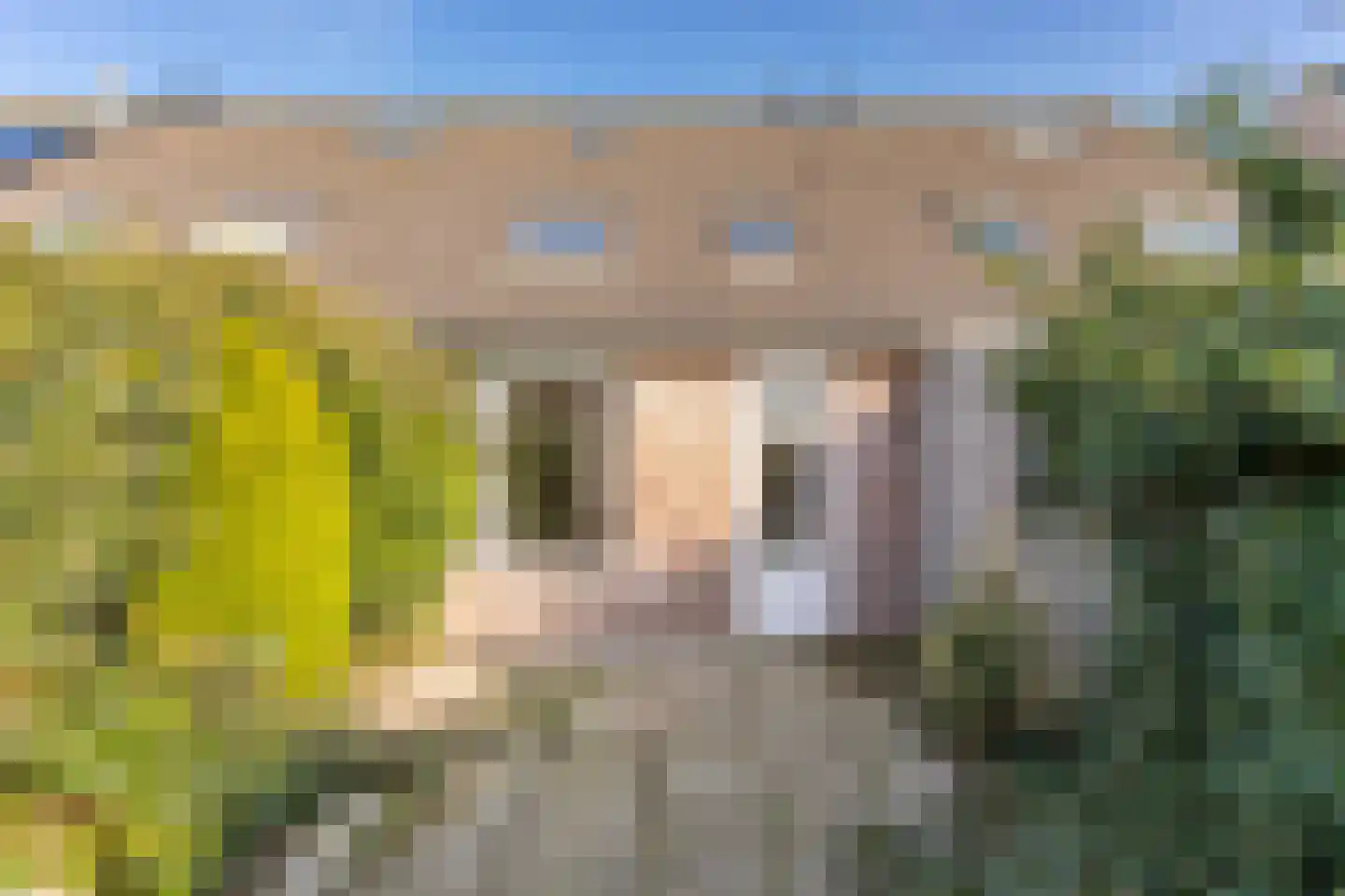 Middelweide 31 Zaltbommel thumbnail 27