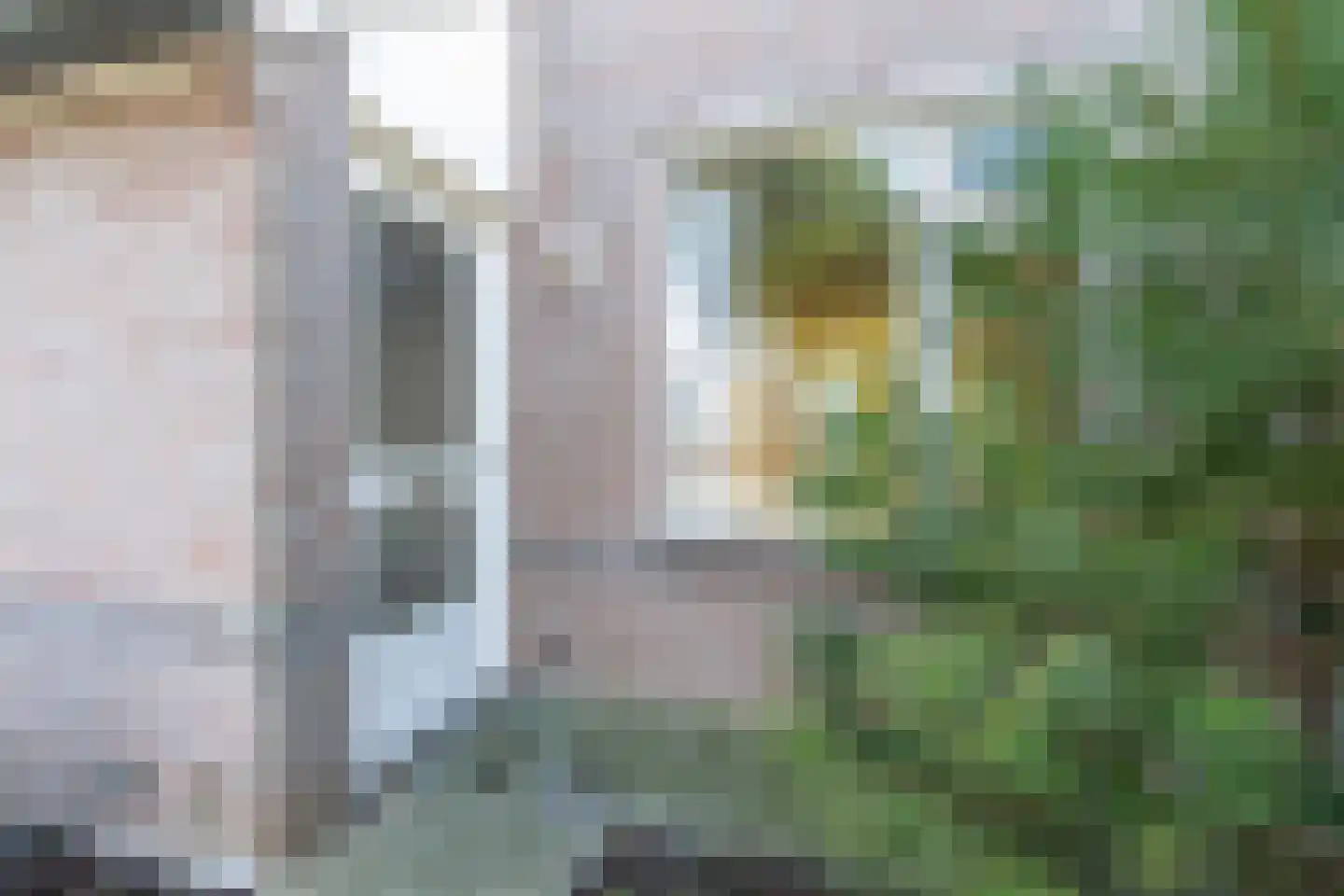 Middelweide 31 Zaltbommel thumbnail 31