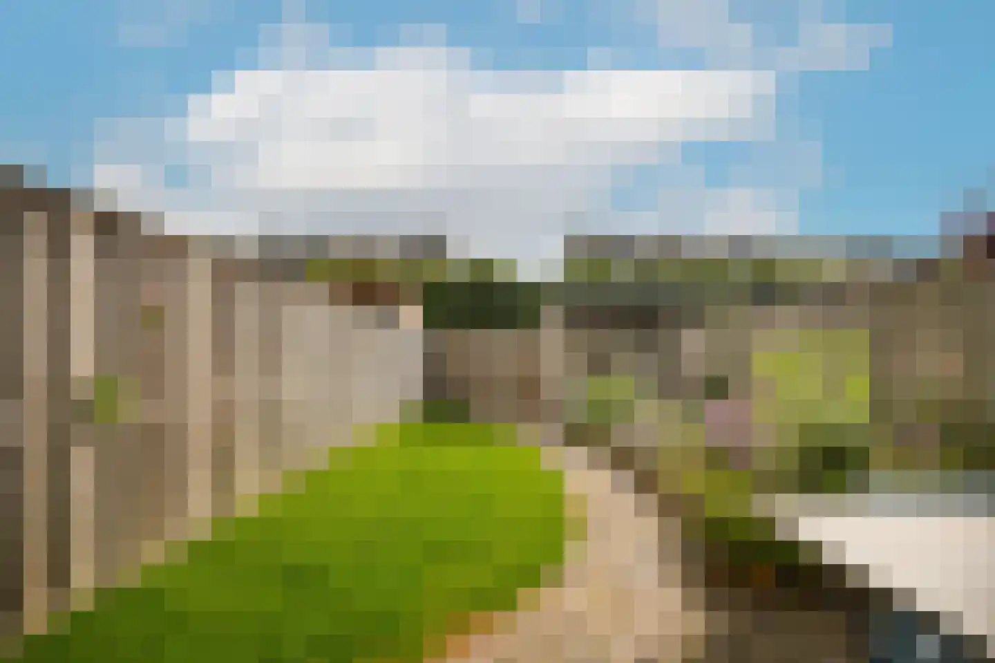 Middelweide 42 Zaltbommel thumbnail 23