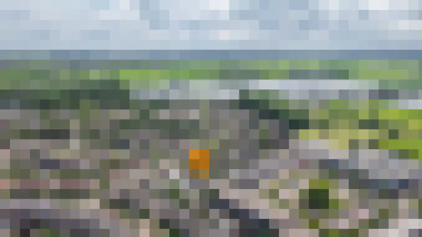 Middelweide 42 Zaltbommel thumbnail 36