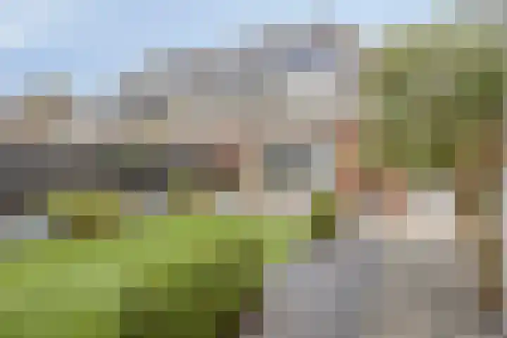 Middelwijk 1 Rhenen thumbnail 49
