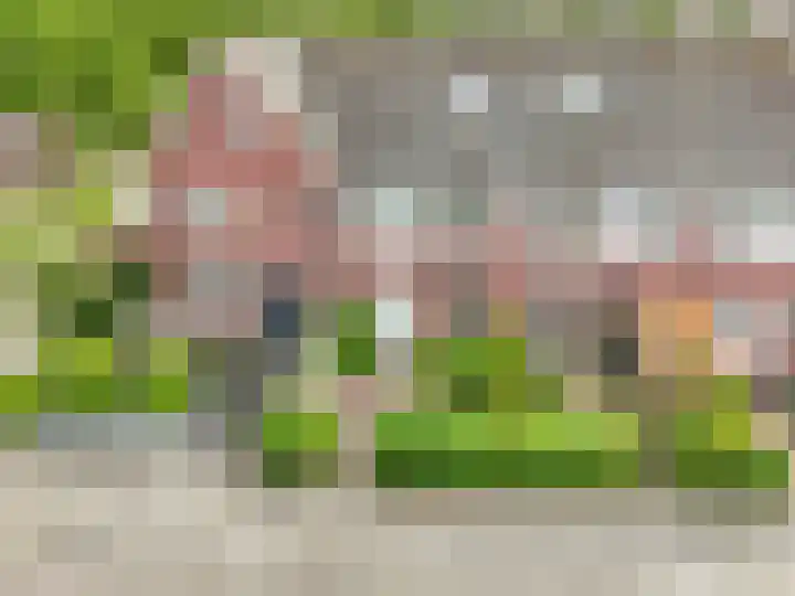 Middelwijk 3 Rhenen thumbnail 34