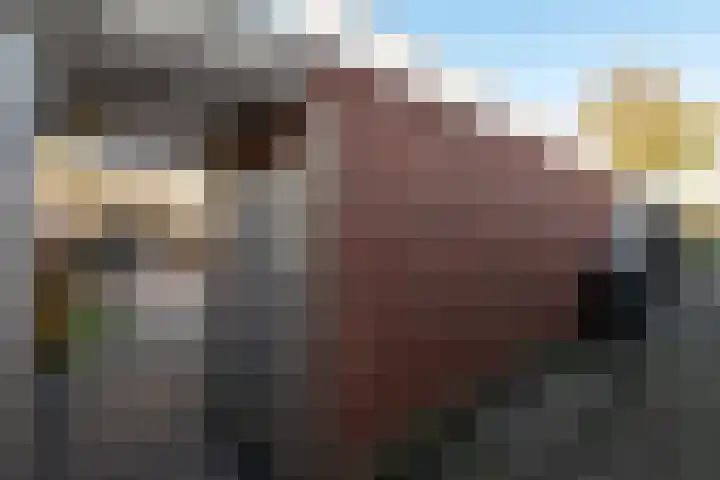 Middelwijk 5 Rhenen thumbnail 39