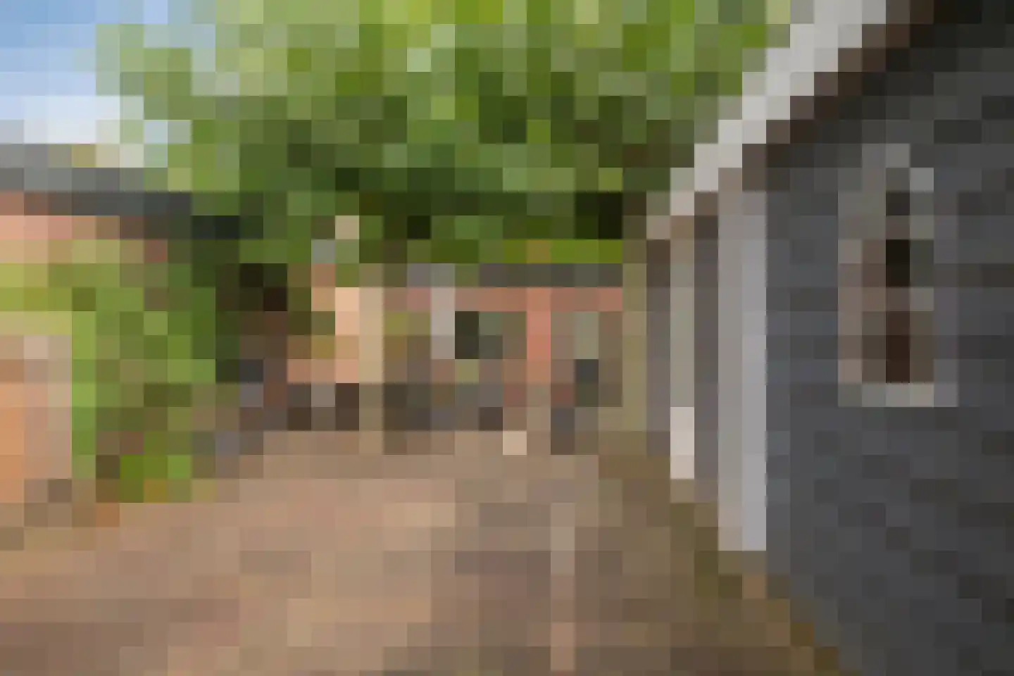 Middelwijkstraat 26 Soest thumbnail 11