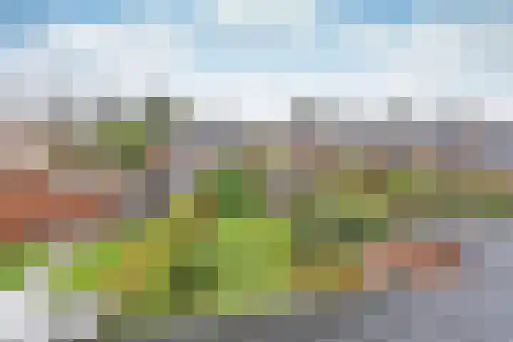 Middelwijkstraat 39 Soest thumbnail 6