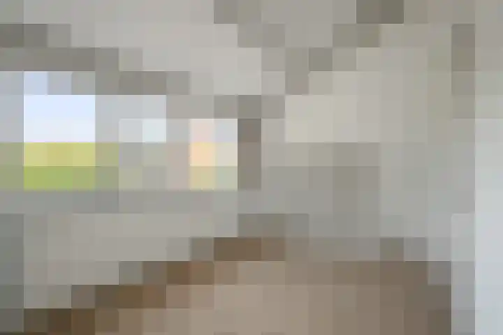 Middelzand 2118 Julianadorp thumbnail 10