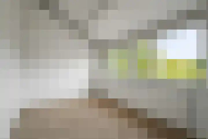 Middelzand 2118 Julianadorp thumbnail 11
