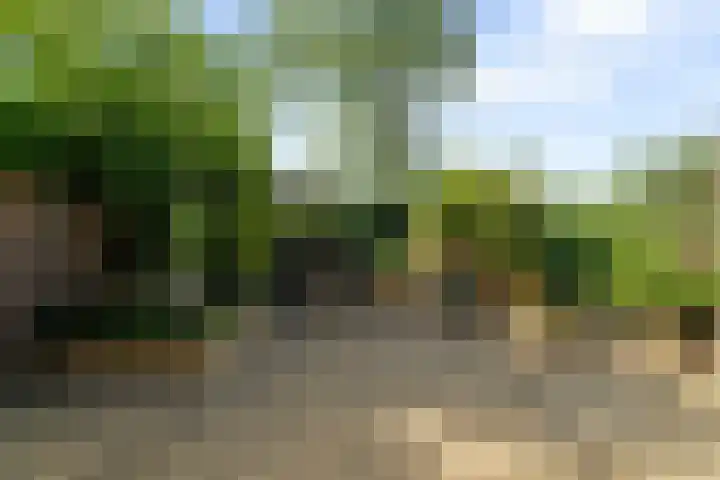 Middelzand 2118 Julianadorp thumbnail 12