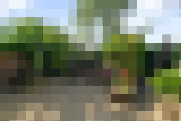 Middelzand 2118 Julianadorp thumbnail 13