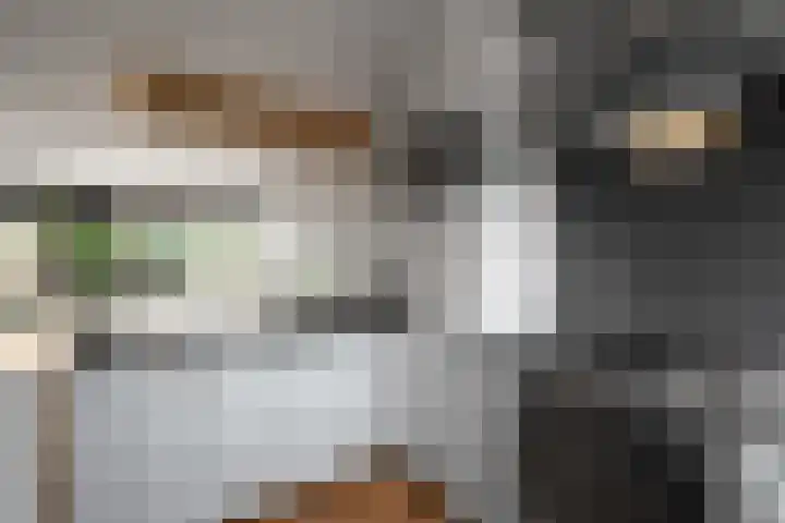 Middelzand 2118 Julianadorp thumbnail 9