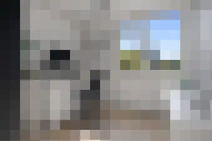 Middelzand 2218 Julianadorp thumbnail 20