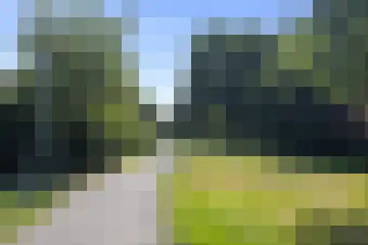 Middelzand 2218 Julianadorp thumbnail 29