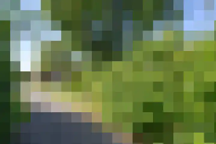 Middelzand 2218 Julianadorp thumbnail 30