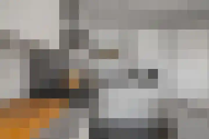 Middelzand 2218 Julianadorp thumbnail 6