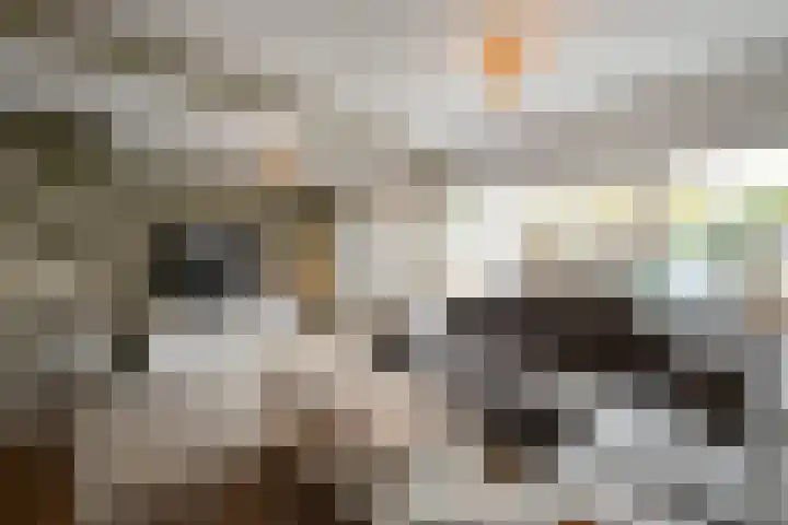 Middelzand 2313 Julianadorp thumbnail 11