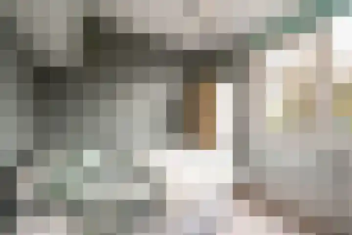 Middelzand 2313 Julianadorp thumbnail 15