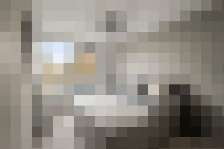 Middelzand 2313 Julianadorp thumbnail 17