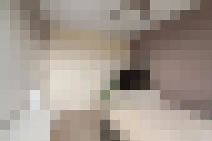 Middelzand 2313 Julianadorp thumbnail 20