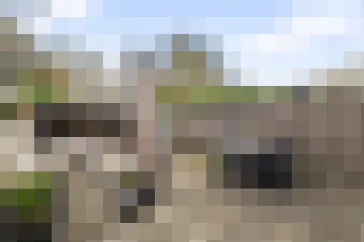 Middelzand 2313 Julianadorp thumbnail 4