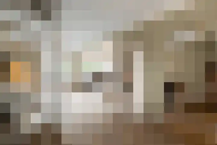 Middelzand 2313 Julianadorp thumbnail 8