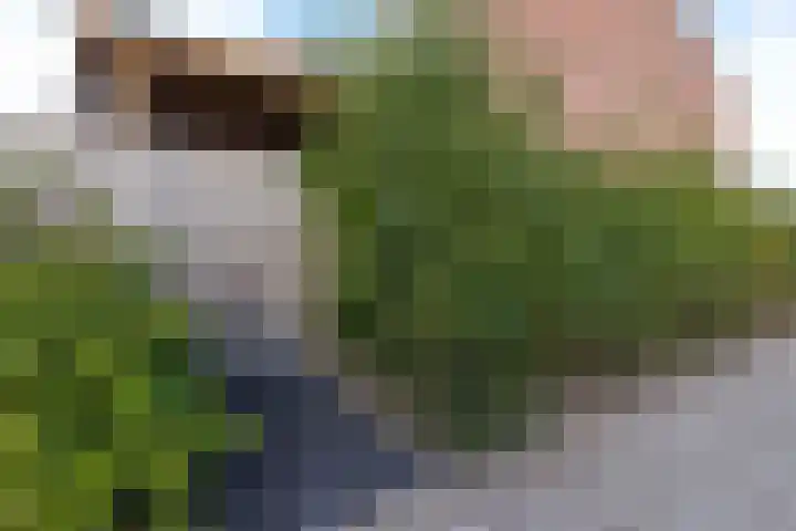 Middelzand 2405 Julianadorp thumbnail 37