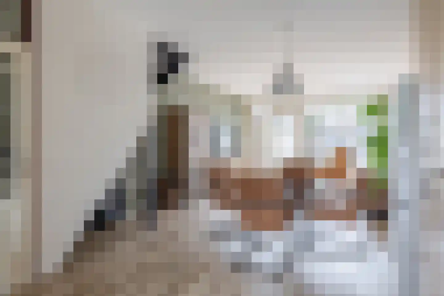 Middelzand 2516 Julianadorp thumbnail 11
