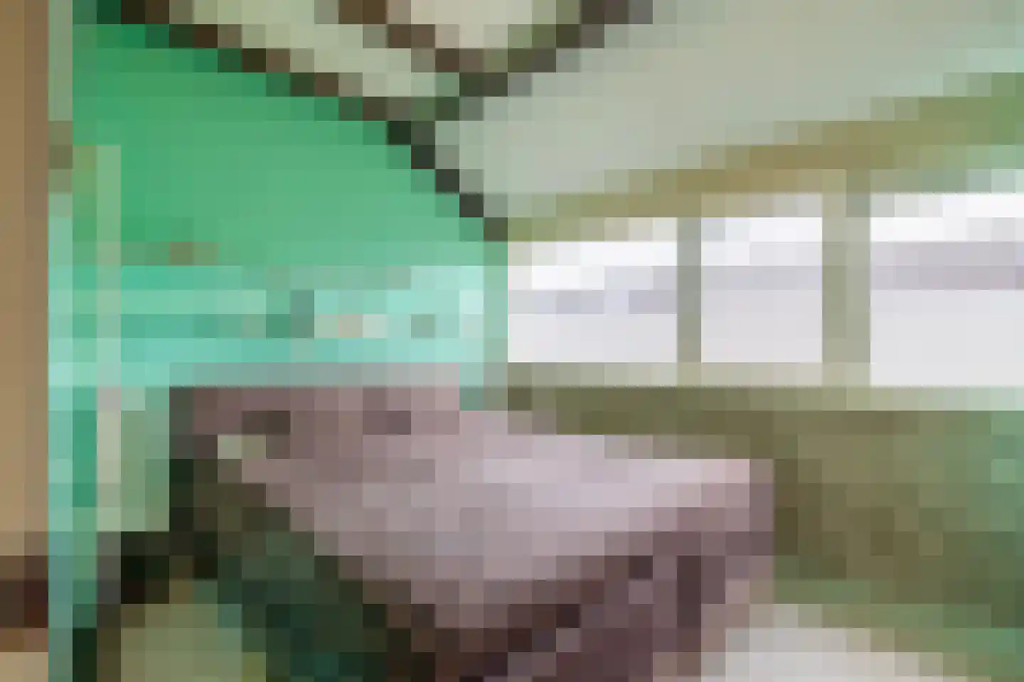 Middelzand 2516 Julianadorp thumbnail 20