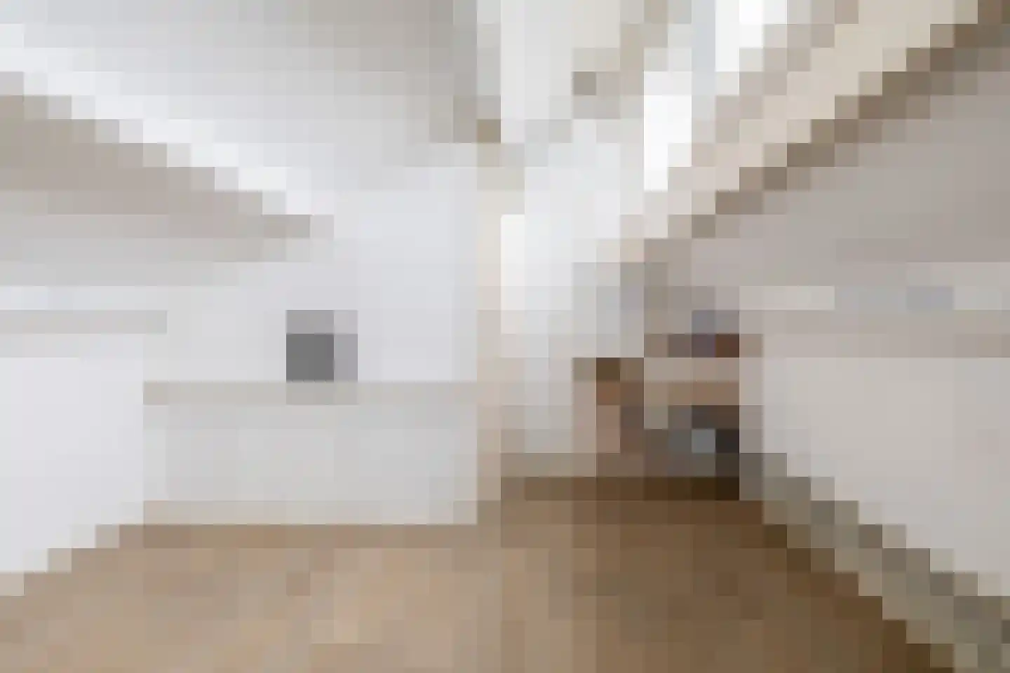 Middelzand 2516 Julianadorp thumbnail 28
