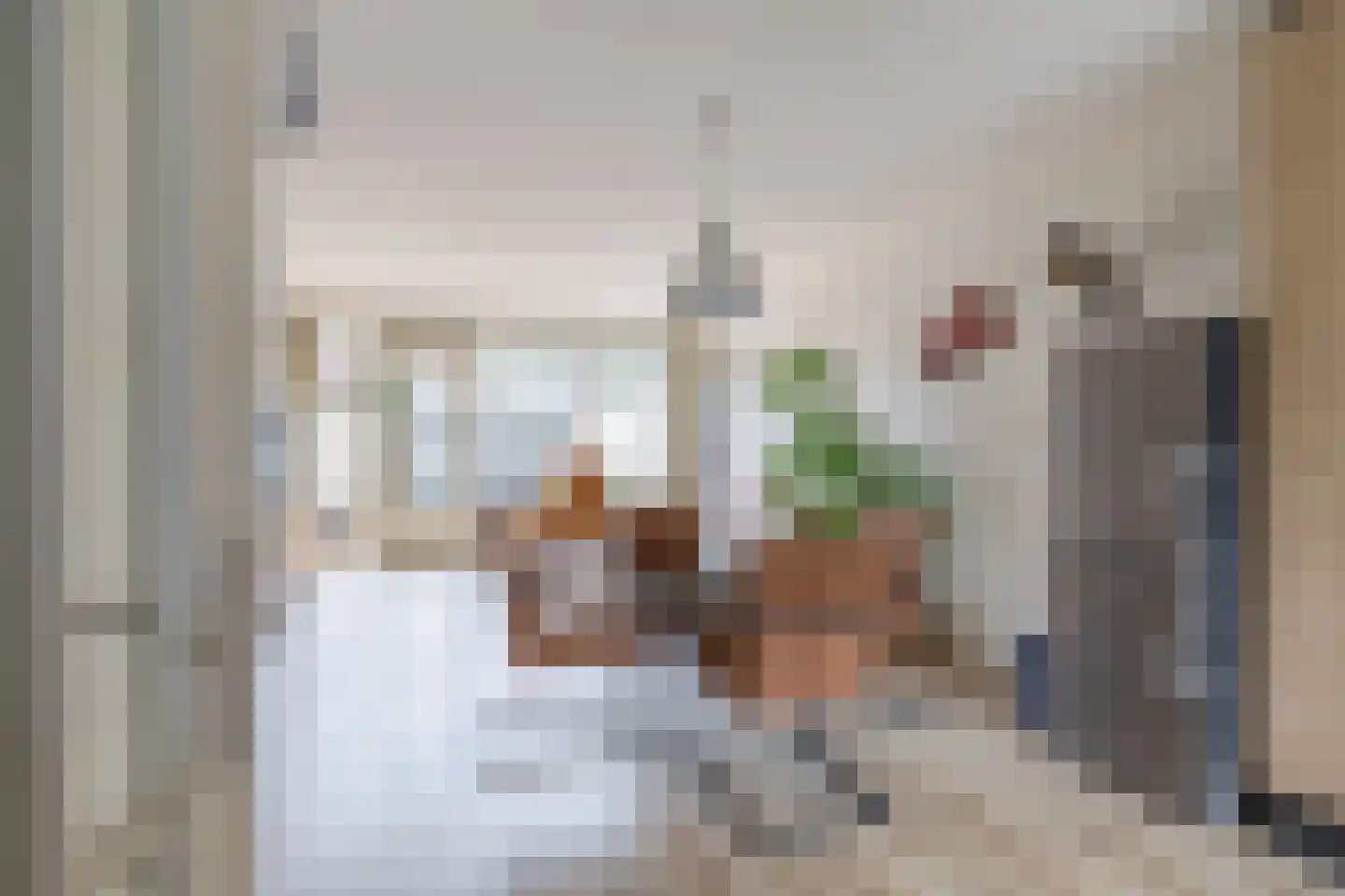 Middelzand 2516 Julianadorp thumbnail 6