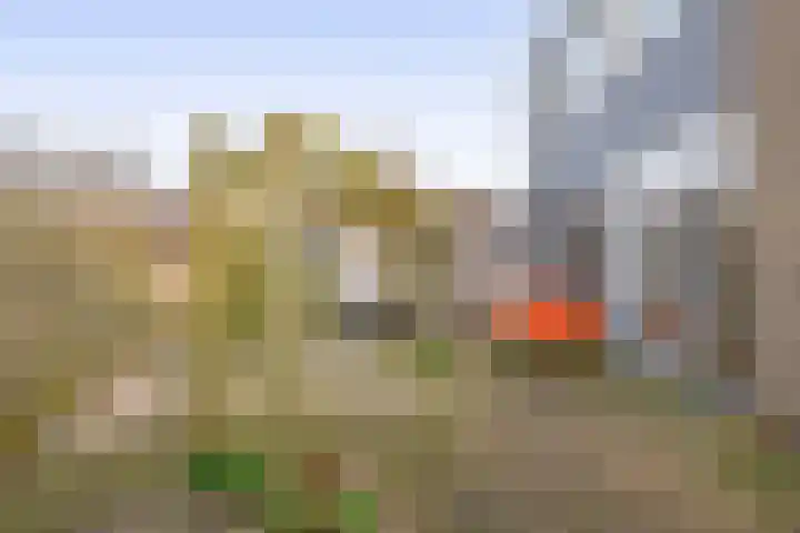 Middelzand 2603 Julianadorp thumbnail 23