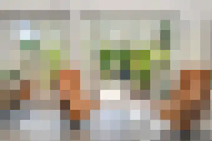 Middelzand 2611 Julianadorp thumbnail 13