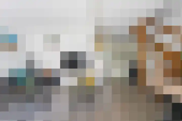 Middelzand 2611 Julianadorp thumbnail 14