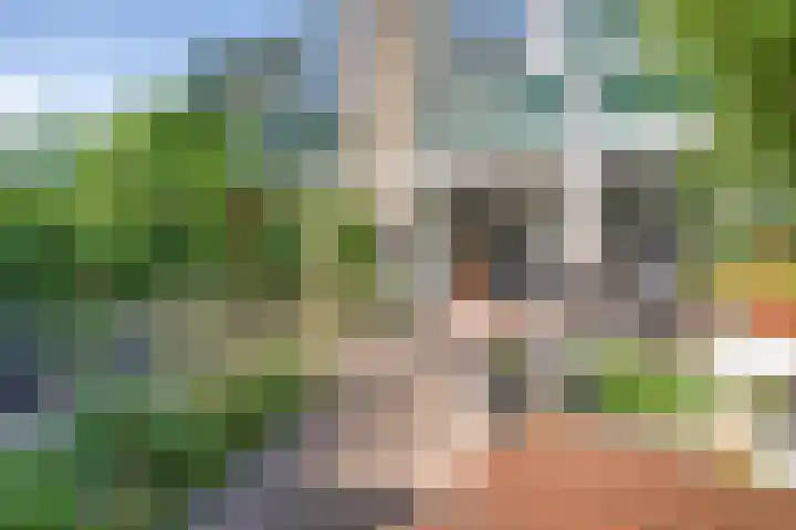 Middelzand 2611 Julianadorp thumbnail 23