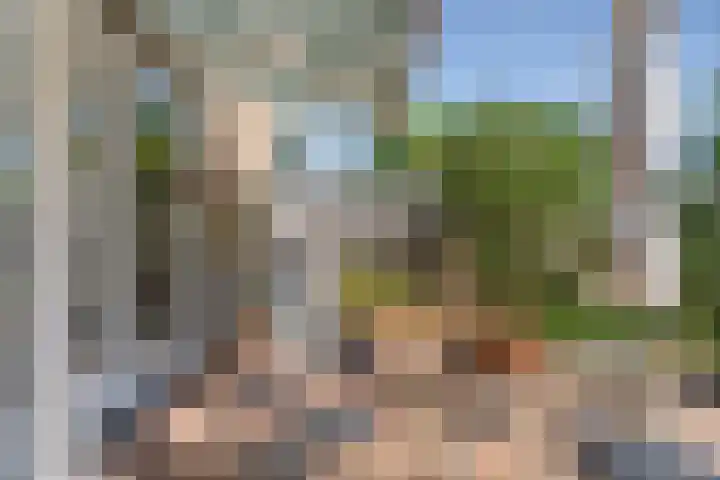 Middelzand 2611 Julianadorp thumbnail 26