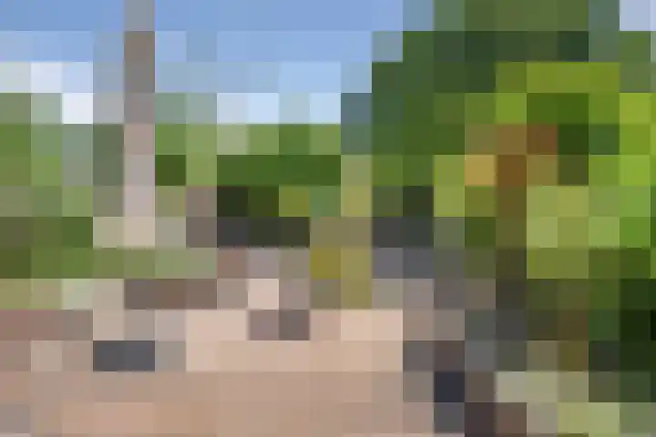 Middelzand 2611 Julianadorp thumbnail 27