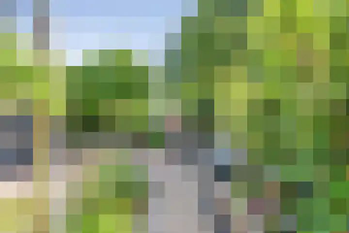 Middelzand 2611 Julianadorp thumbnail 28