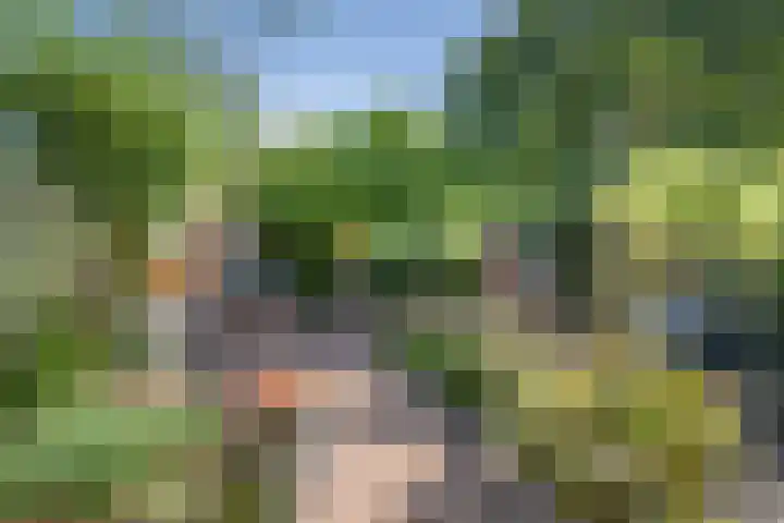 Middelzand 2611 Julianadorp thumbnail 29