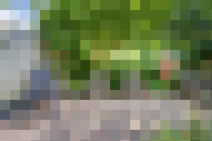Middelzand 2611 Julianadorp thumbnail 30