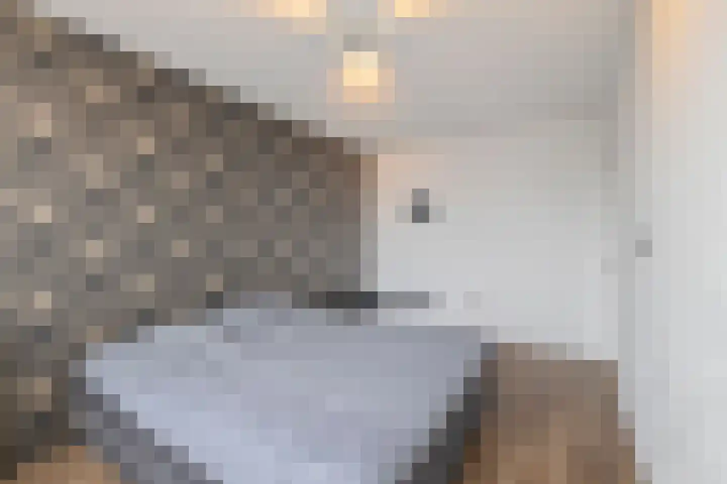 Middelzand 2704 Julianadorp thumbnail 19