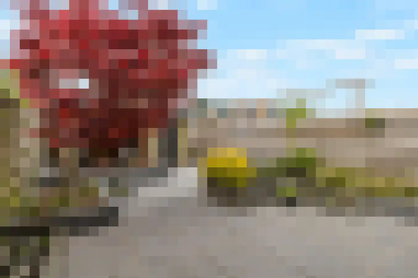 Middelzand 2704 Julianadorp thumbnail 29