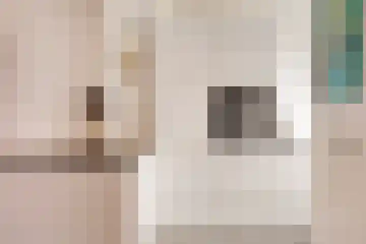 Middelzand 3106 Julianadorp thumbnail 10