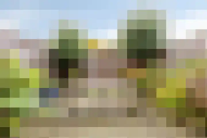 Middelzand 3106 Julianadorp thumbnail 26